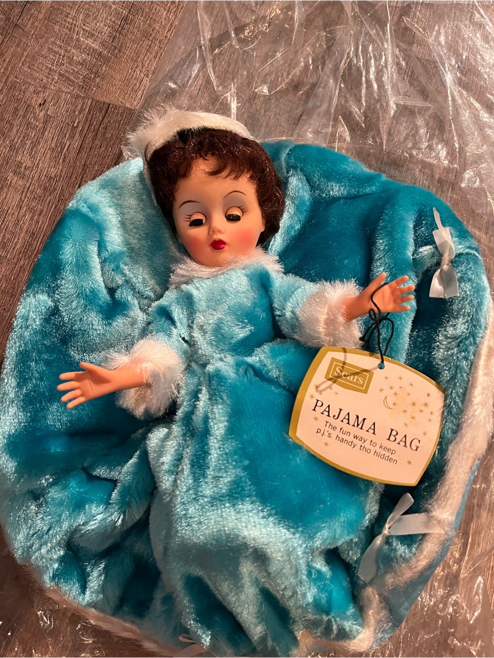 Sears Teal Plush Pajama Bag with Doll and White Trim